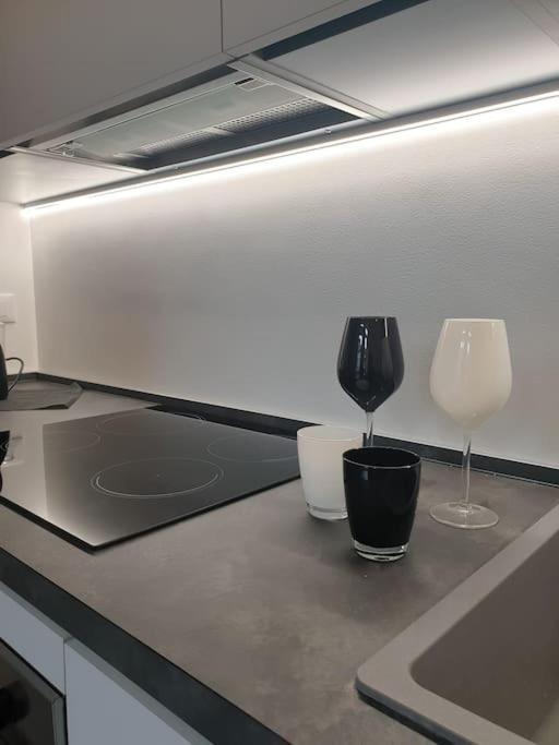 Apartmán Dimora Di Privacy Fronte Parco E Ospedale Di Monza Lissone Exteriér fotografie